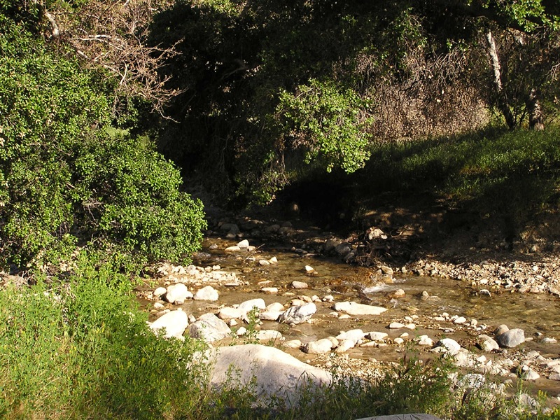 California State Parks - Placerita Canyon State Park #BayouTravel