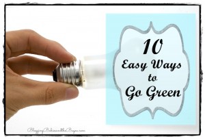 10 Eco and Budget Friendly Easy Ways to “Go Green”