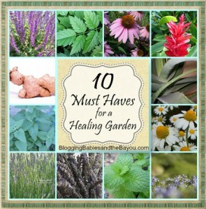 10 Must Haves for a Healing Garden