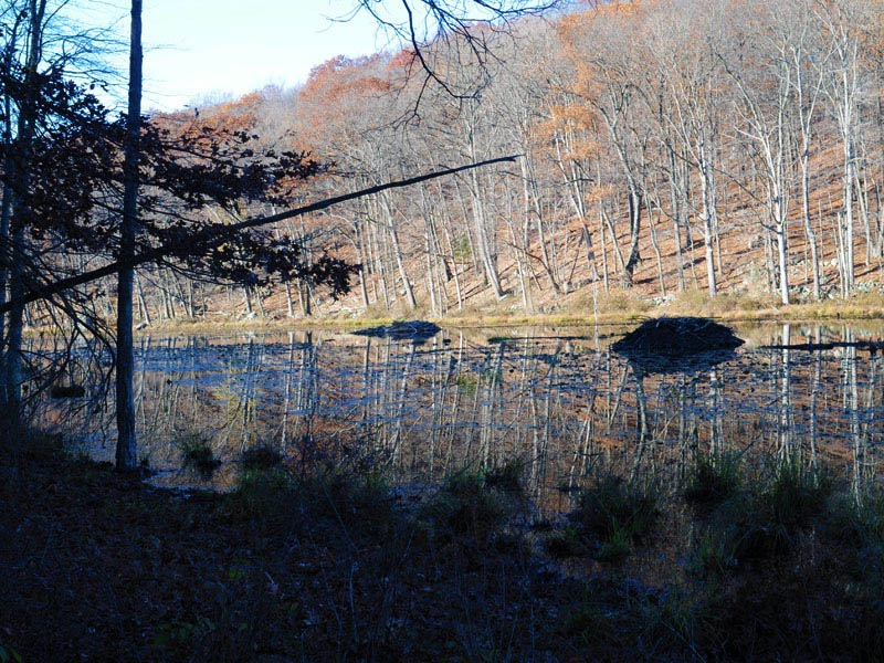 Wooster Mountain State Park Connecticut State Parks #BayouTravel