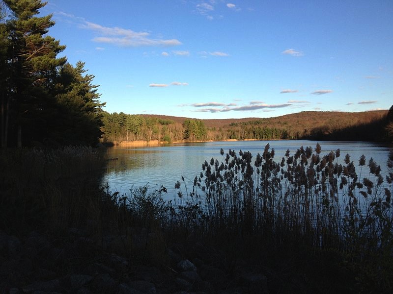 Meshomasic State Park Connecticut State Parks #BayouTravel