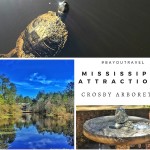 Crosby Arboretum – Outdoor Family Attractions in Picayune Mississippi #BayouTravel