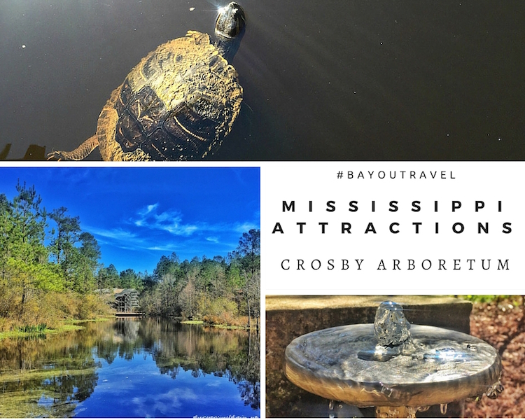 Crosby Arboretum - Outdoor Family Attractions in Picayune Mississippi #BayouTravel #VisitMs