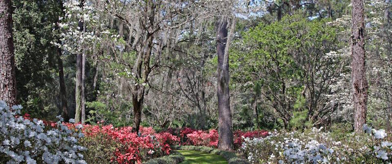 Alfred B. Maclay Gardens State Park- Visit Your Local State Parks – State by State, Florida State Parks {Spotlight} #BayouTravel
