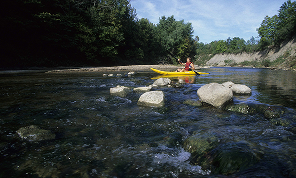 Kickapoo State Park - Visit Local State Parks – State by State, Illinois State Parks {Spotlight}