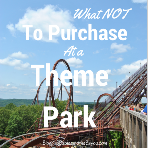 Summer Travel Tips: What Not to Purchase at a Theme Park #BayouTravel